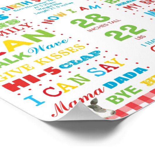 ファーム納屋周囲の庭1st誕生日マイルストーン誕生の状態 ポスター (角)