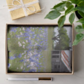 ファーム素朴テキサス州ブルーボネットの分離 薄葉紙 (ギフト)