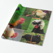 ファーム鶏の写真コラージュ ラッピングペーパー (アンロールド)