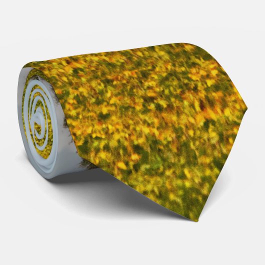 ファーム – オハイオ – 壊れた夢 ネクタイ (ロール)