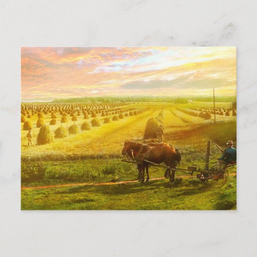 ファーム – フィンランド – 希望のフィールド1899 ポストカード (正面)