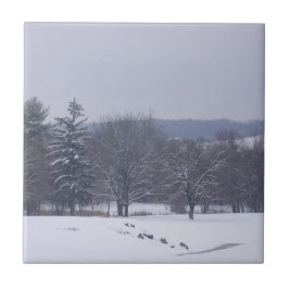 「ファーム・フィールド」 タイル