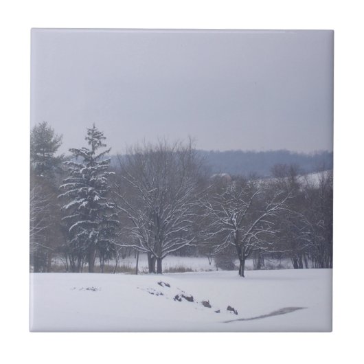 「ファーム・フィールド」 タイル (正面)