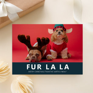 ファーラブルーペットクリスモダンマス写真 シーズンカード