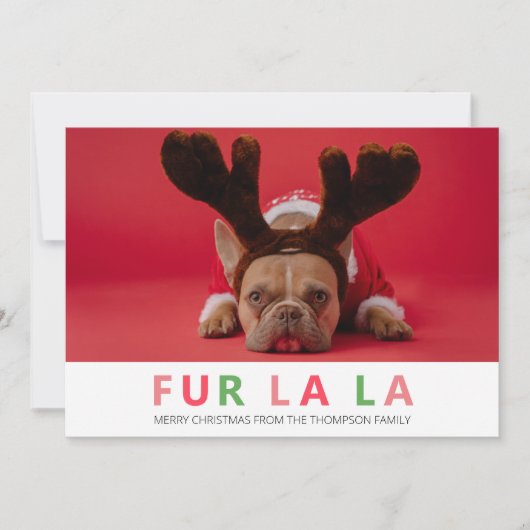 ファーララクリスマスペットおもしろいドッグの愛人写真 シーズンカード (正面)