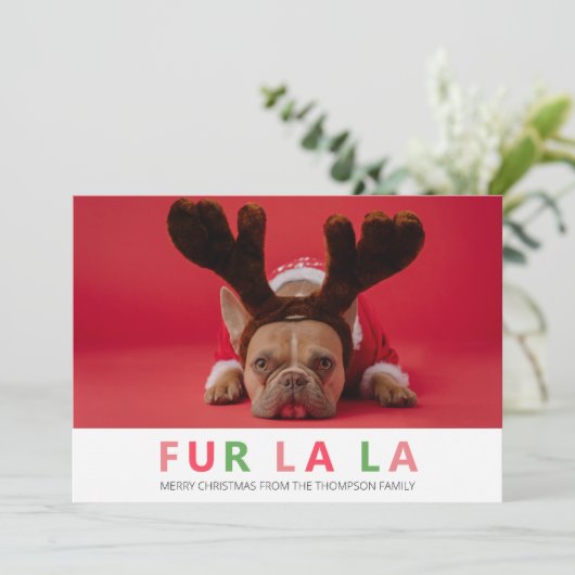 ファーララクリスマスペットおもしろいドッグの愛人写真 シーズンカード (スタンド正面)