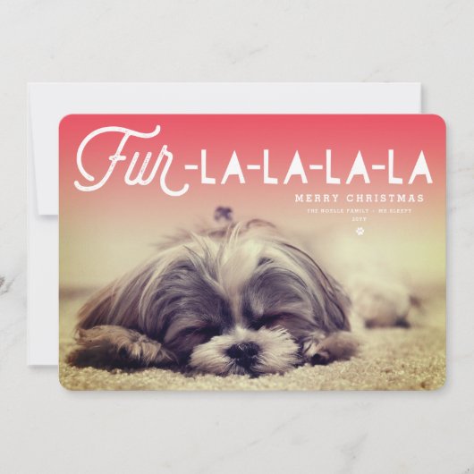 ファーララララスクリプトドッグラバーフォトペおもしろいット シーズンカード (正面)