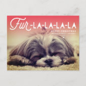 ファーララララスクリプトドッグラバーフォトペおもしろいット シーズンポストカード (正面)