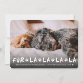 ファーララララポーズドッグ恋人フォトペおもしろいット シーズンカード (正面)