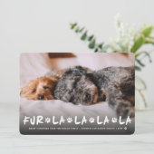 ファーララララポーズドッグ恋人フォトペおもしろいット シーズンカード (スタンド正面)