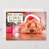 ファーララララ |ペットの休日の写真 シーズンカード (正面)