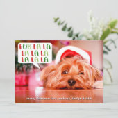 ファーララララ |ペットの休日の写真 シーズンカード (スタンド正面)