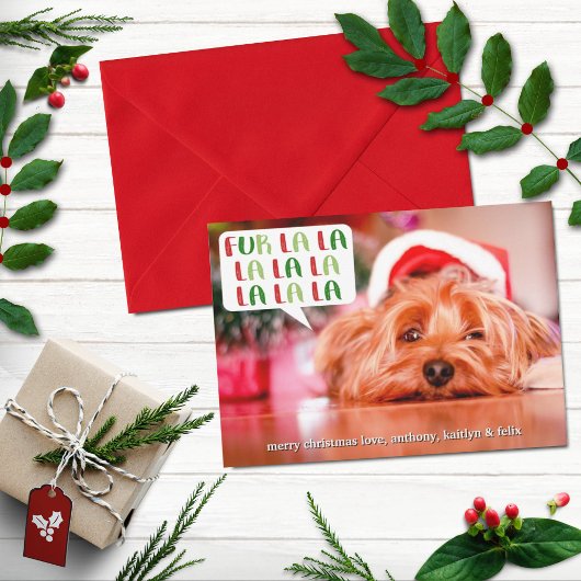 ファーララララ |ペットの休日の写真 シーズンカード