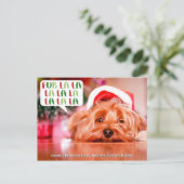 ファーララララ |ペットの休日の写真 シーズンポストカード (スタンド正面)