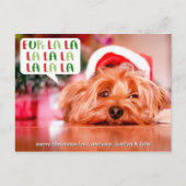 ファーララララ |ペットの休日の写真 シーズンポストカード (正面)