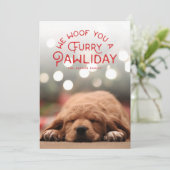 ファーリー・パウィデイ |ペットの写真 シーズンカード (スタンド正面)