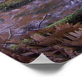 ファーンガリー ポスター (角)