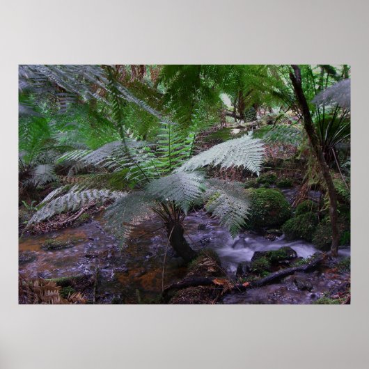 ファーンガリー ポスター (正面)