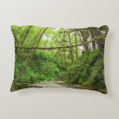 ファーンキャニオンIアットレッドウッド国立公園 アクセントクッション (裏面)