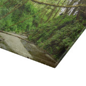 ファーンキャニオンIアットレッドウッド国立公園 カッティングボード (角)