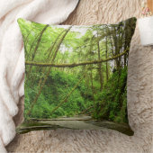 ファーンキャニオンIアットレッドウッド国立公園 クッション (ブランケット)