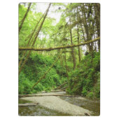 ファーンキャニオンIアットレッドウッド国立公園 クリップボード (裏面)