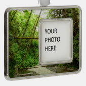 ファーンキャニオンIアットレッドウッド国立公園 シルバープレートフレームオーナメント (右)