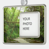 ファーンキャニオンIアットレッドウッド国立公園 シルバープレートフレームオーナメント (左)