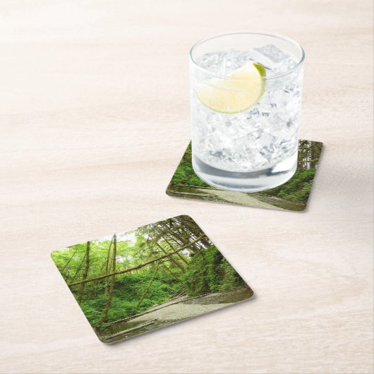 ファーンキャニオンIアットレッドウッド国立公園 スクエアペーパーコースター (インサイチュ)