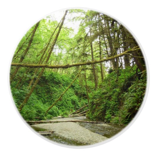 ファーンキャニオンIアットレッドウッド国立公園 セラミックノブ (正面)