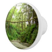 ファーンキャニオンIアットレッドウッド国立公園 セラミックノブ (右)