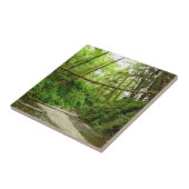 ファーンキャニオンIアットレッドウッド国立公園 タイル (側面)