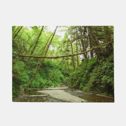 ファーンキャニオンIアットレッドウッド国立公園 ドアマット (正面)