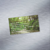 ファーンキャニオンIアットレッドウッド国立公園 マグネット名刺 (インサイチュ)