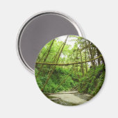 ファーンキャニオンIアットレッドウッド国立公園 マグネット (正面/裏面)