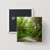 ファーンキャニオンIアットレッドウッド国立公園 缶バッジ (正面&裏面)