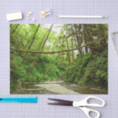 ファーンキャニオンIアットレッドウッド国立公園 薄葉紙 (クラフト)