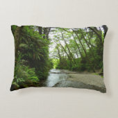 ファーンキャニオンIIアットレッドウッド国立公園 アクセントクッション (裏面)