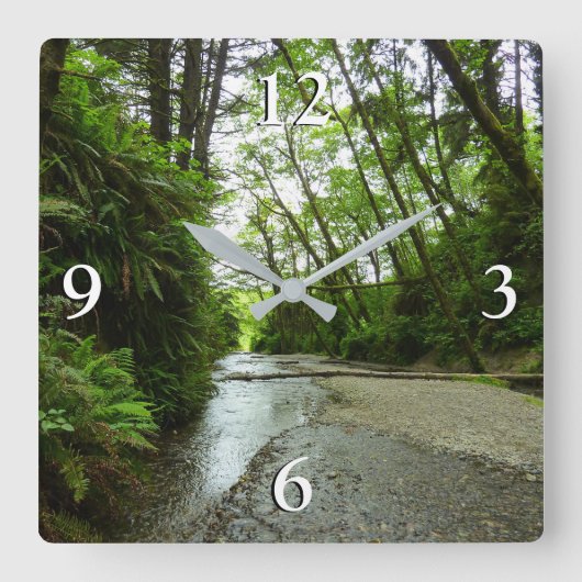 ファーンキャニオンIIアットレッドウッド国立公園 スクエア壁時計 (正面)