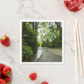 ファーンキャニオンIIアットレッドウッド国立公園 スタンダードカクテルナプキン (インサイチュ)