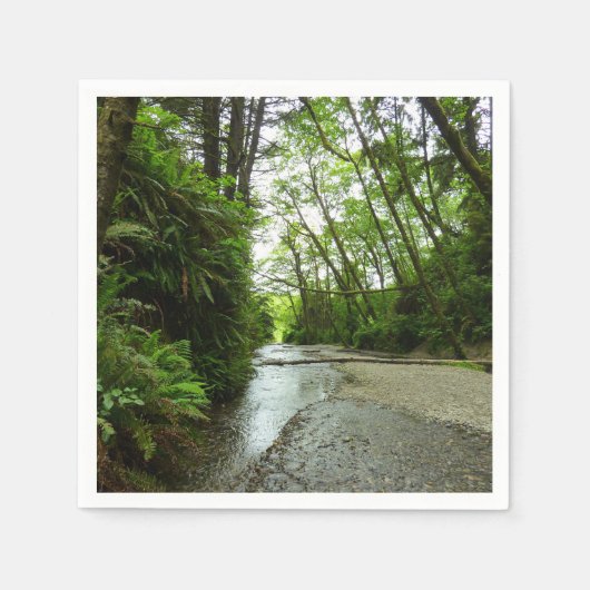 ファーンキャニオンIIアットレッドウッド国立公園 スタンダードカクテルナプキン (正面)