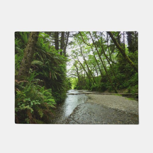 ファーンキャニオンIIアットレッドウッド国立公園 ドアマット (正面)