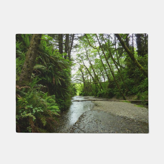 ファーンキャニオンIIアットレッドウッド国立公園 ドアマット (正面)