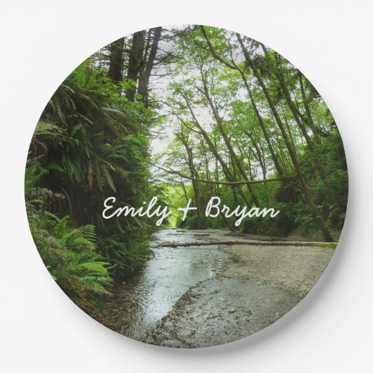 ファーンキャニオンIIアットレッドウッド国立公園 ペーパープレート (正面)