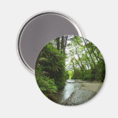 ファーンキャニオンIIアットレッドウッド国立公園 マグネット (正面/裏面)