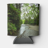 ファーンキャニオンIIアットレッドウッド国立公園 缶クーラー (正面)