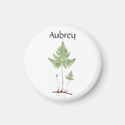 ファーンシンプルズ マグネット (正面)