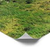 ファーンバーンハット ポスター (角)