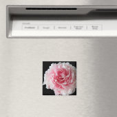 ファーンピーニースクエアマグネット マグネット (インサイチュ (食洗機))