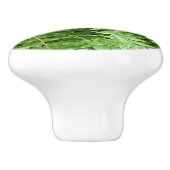 ファーンフロントズIグリーン自然 セラミックノブ (側面)